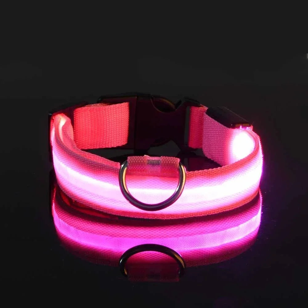 LED Light-Up Dog Collar — Night Safety Glow Collar, Adjustable Nylon, 7 Colors