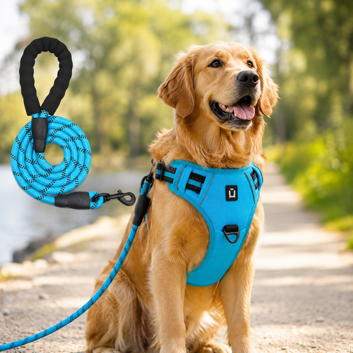 No-Pull Dog Harness & Leash Set — Escape-Proof Reflective Padded Vest with 5 ft Leash