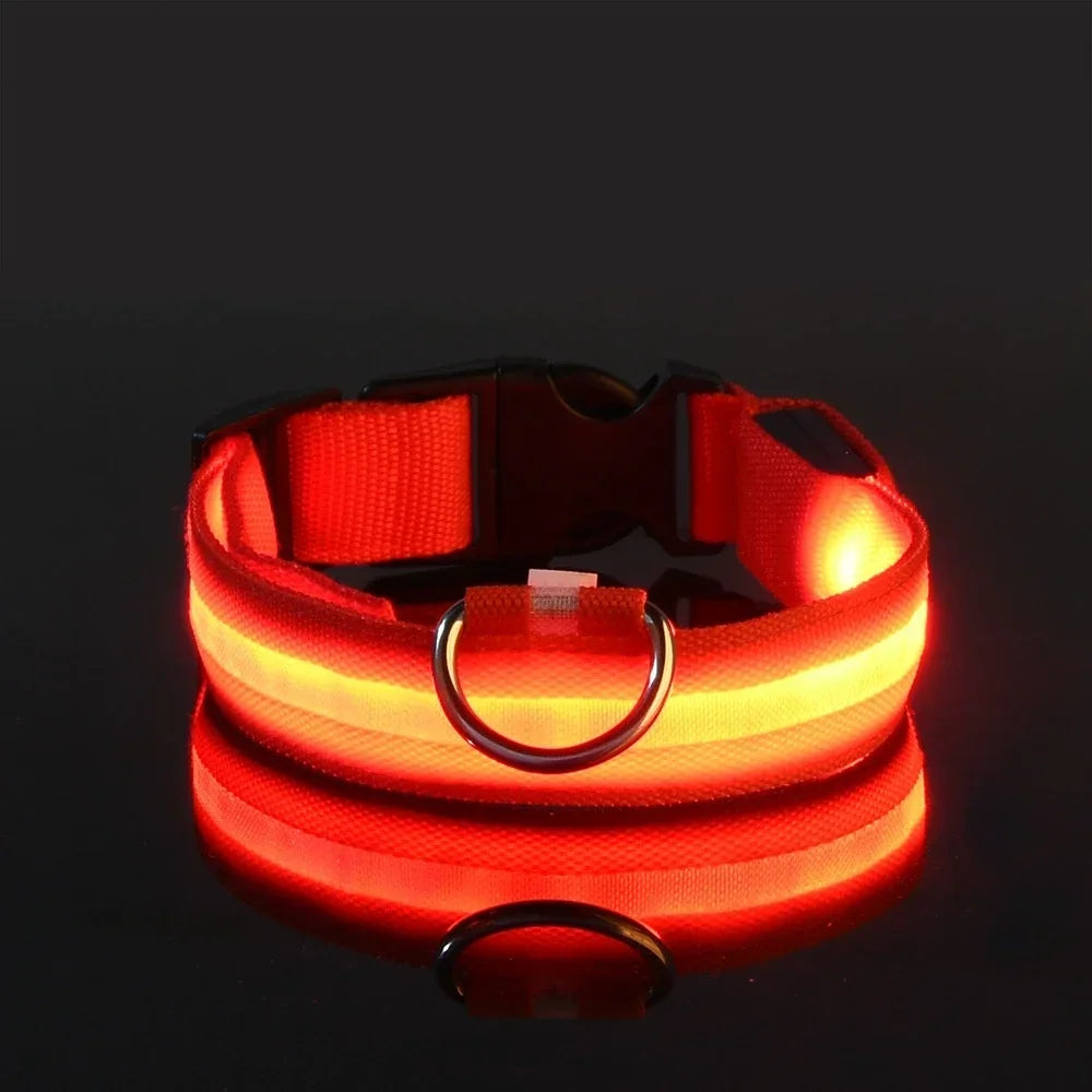 LED Light-Up Dog Collar — Night Safety Glow Collar, Adjustable Nylon, 7 Colors
