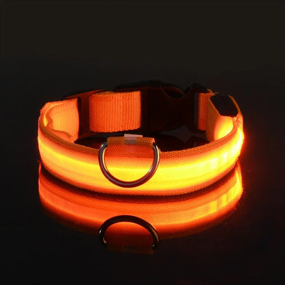 LED Light-Up Dog Collar — Night Safety Glow Collar, Adjustable Nylon, 7 Colors