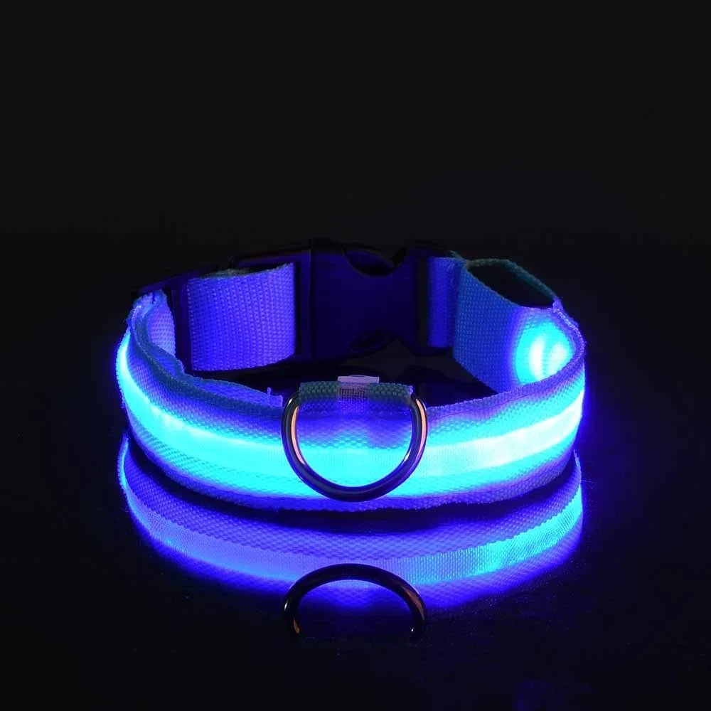 LED Light-Up Dog Collar — Night Safety Glow Collar, Adjustable Nylon, 7 Colors