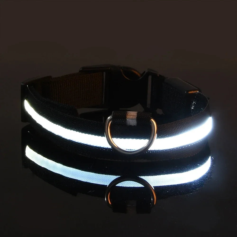 LED Light-Up Dog Collar — Night Safety Glow Collar, Adjustable Nylon, 7 Colors