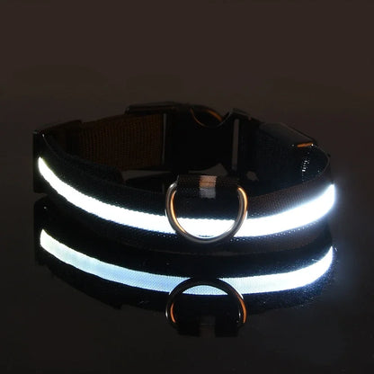 LED Light-Up Dog Collar — Night Safety Glow Collar, Adjustable Nylon, 7 Colors