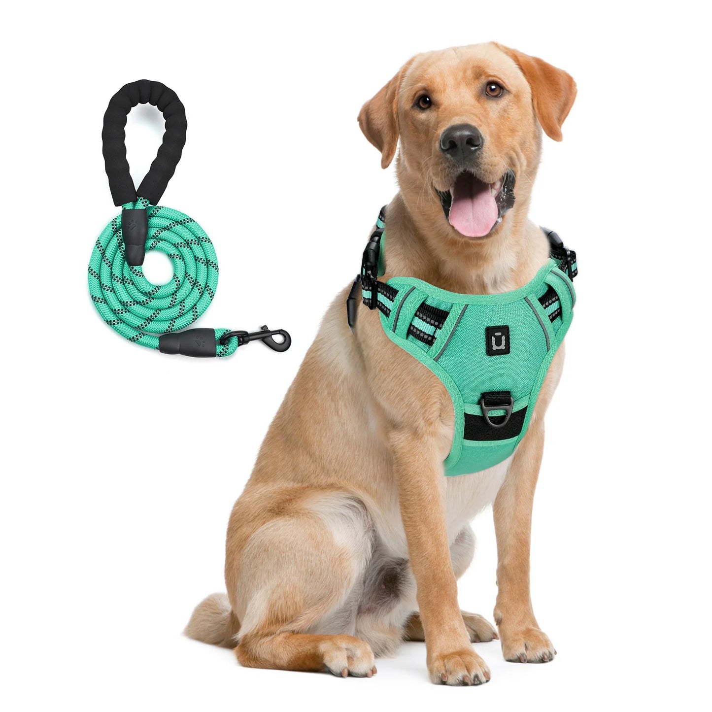 No-Pull Dog Harness & Leash Set — Escape-Proof Reflective Padded Vest with 5 ft Leash