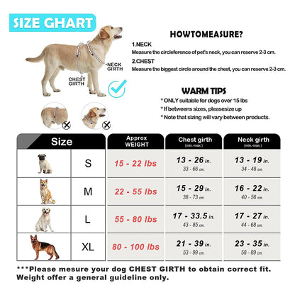 No-Pull Dog Harness & Leash Set — Escape-Proof Reflective Padded Vest with 5 ft Leash