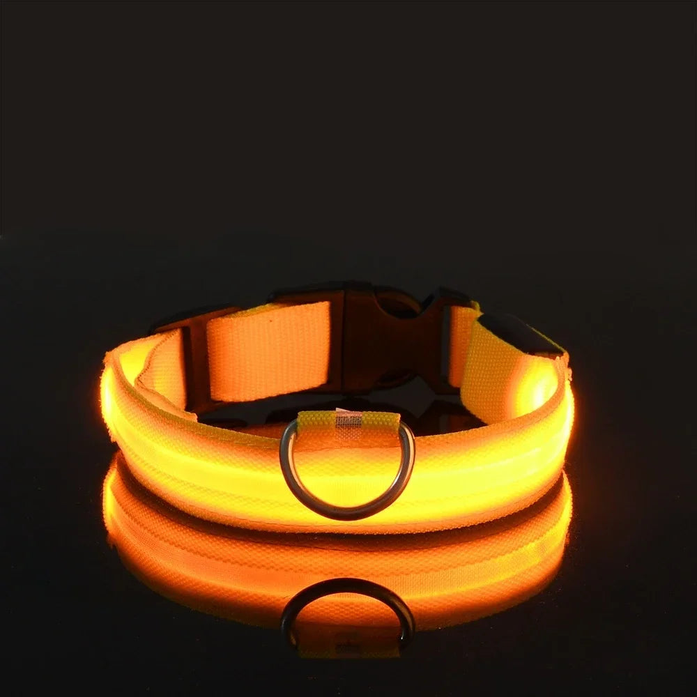 LED Light-Up Dog Collar — Night Safety Glow Collar, Adjustable Nylon, 7 Colors