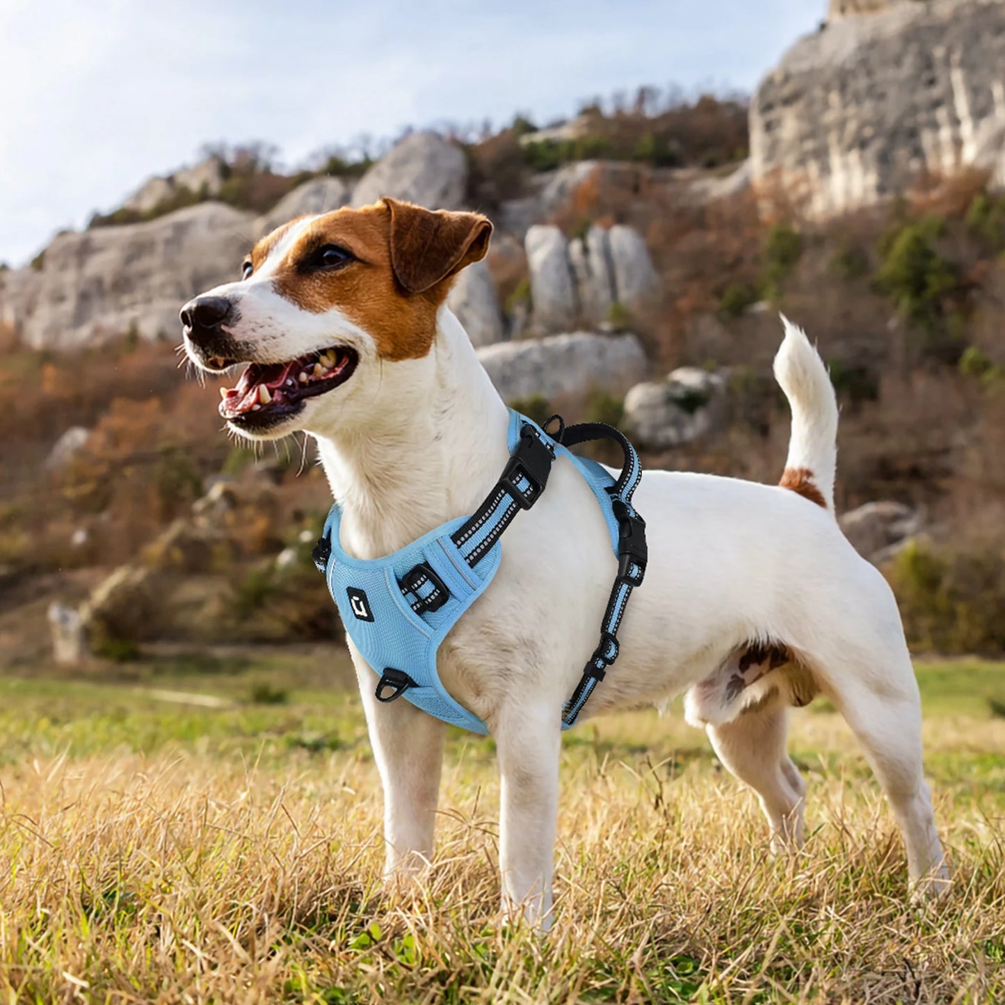 No-Pull Dog Harness & Leash Set — Escape-Proof Reflective Padded Vest with 5 ft Leash