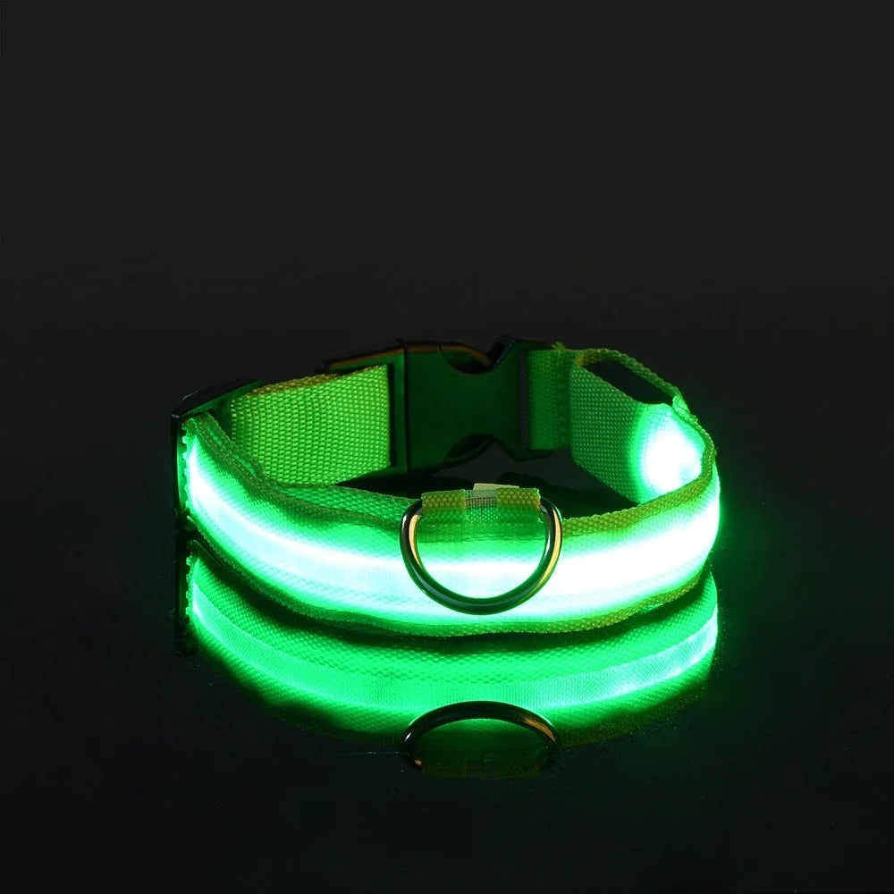 LED Light-Up Dog Collar — Night Safety Glow Collar, Adjustable Nylon, 7 Colors