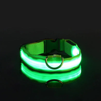 LED Light-Up Dog Collar — Night Safety Glow Collar, Adjustable Nylon, 7 Colors